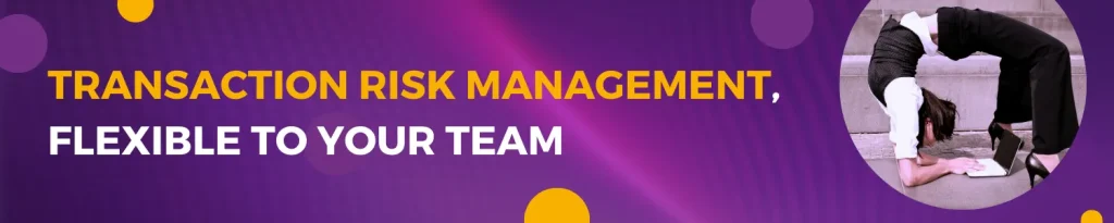 Banner with Image of a person bending over backwards next to text: Transaction risk management, flexible to your team